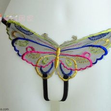 Butterfly panties  