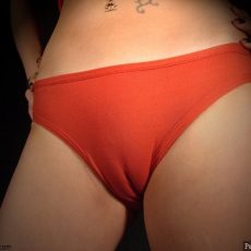 Panties cameltoe  