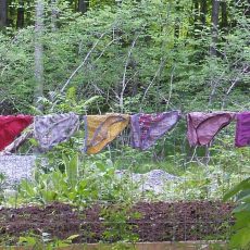 Lovely pics of drying panties Lovely pics of drying panties