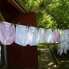 Lovely pics of drying panties Lovely pics of drying panties