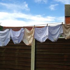Lovely pics of drying panties Lovely pics of drying panties