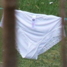 Lovely pics of drying panties Lovely pics of drying panties
