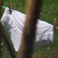 Lovely pics of drying panties 
