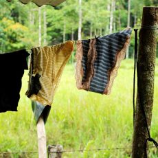 Lovely pics of drying panties Lovely pics of drying panties