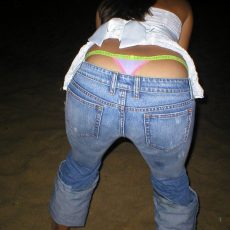 The best of whale tail 
