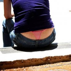 The best of whale tail The best of whale tail