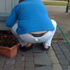 The best of whale tail – third part The best of whale tail – third part