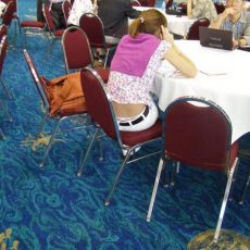 The best of whale tail – third part The best of whale tail – third part