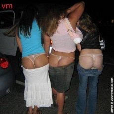 The best of whale tail - fourth part The best of whale tail - fourth part