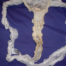 27 photos of dirty panties 27 photos of dirty panties