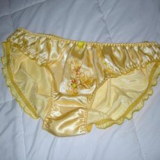 27 photos of dirty panties 27 photos of dirty panties