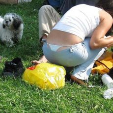 The best of whale tail - fifth part The best of whale tail - fifth part