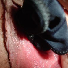 Pussies stuffed with thongs Pussies stuffed with thongs