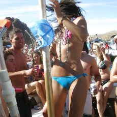More of cameltoes! More of cameltoes!