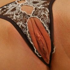 45 hot girls wearing crotchless panties  
