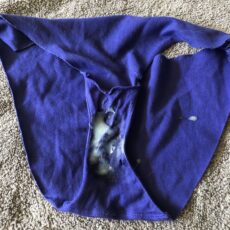 Cum stains on panties  